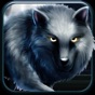 The Wolf Running Among Woods app download