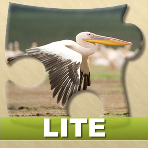 Bright Puzzles: Birds Lite Icon