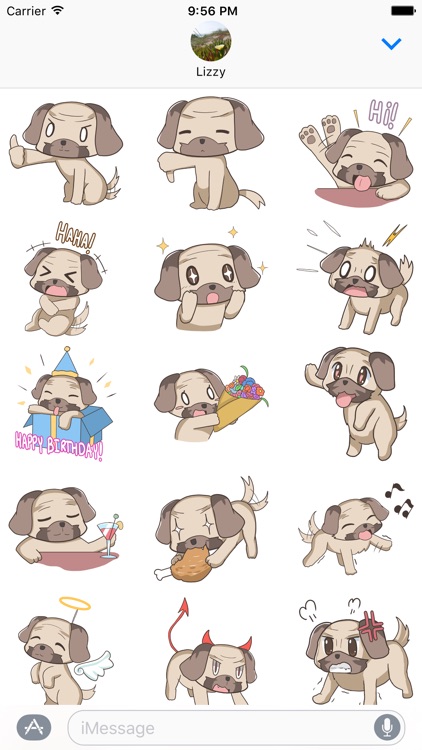 Puppy Pug screenshot-3