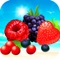 Fancy Tasty and Delicious Fruit Mania Slot Machine