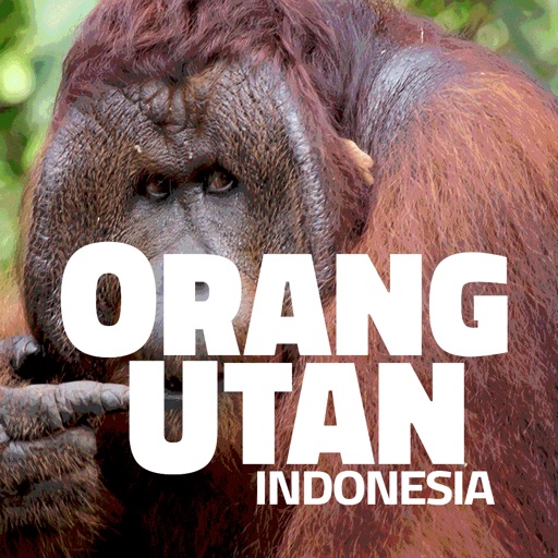 OrangUtan - Indonesia icon