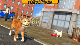 Game screenshot Street Cat Sim 2016 mod apk