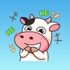 Funny Cow