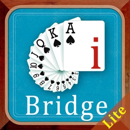 iBridge lite blue level Ex1