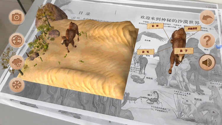 探秘沙漠世界 screenshot-4