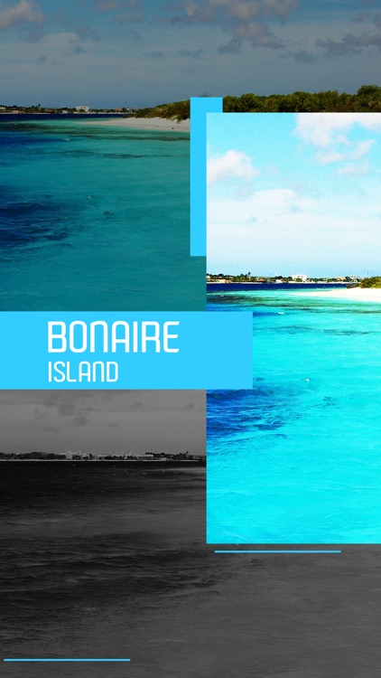 Bonaire Island Tourist Guide