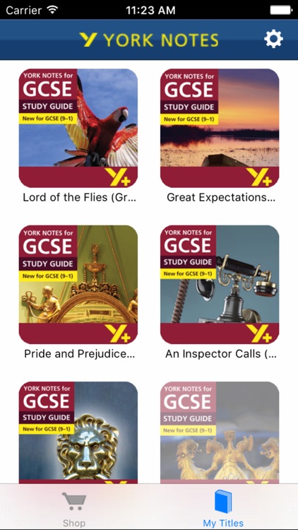 York Notes Study Guide