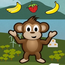 Activities of Feed Monkey