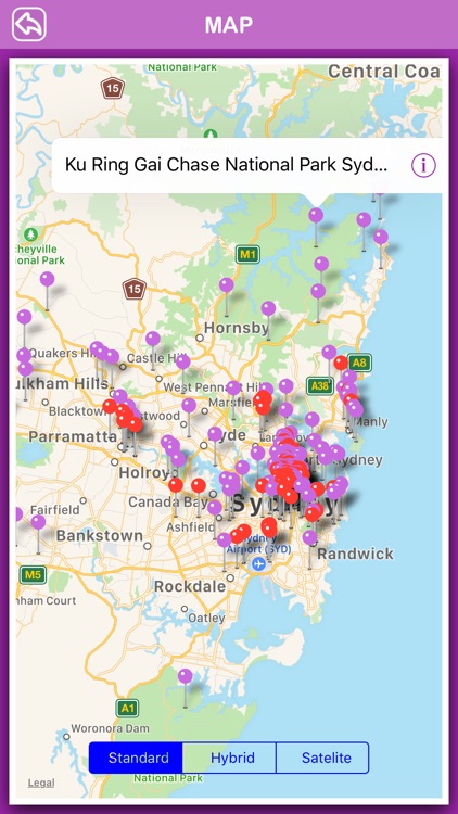 Sydney City Offline Guide screenshot-3
