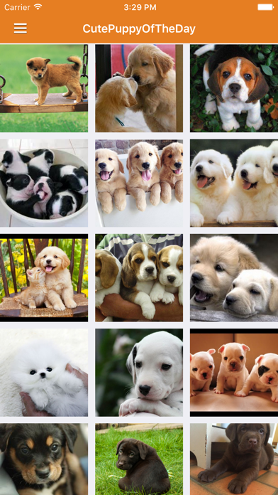 Screenshot #3 pour Dog News & Puppy Training Tips Free