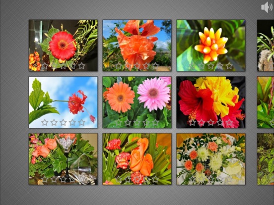 Screenshot #5 pour Jigsaw Puzzles: Flower Quest