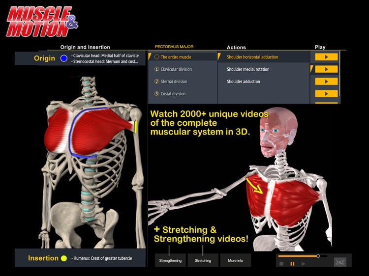 Muscle and Motion Anatomy
