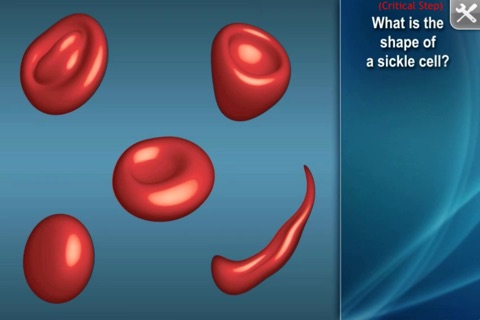 Medrills: Hematologic and Renal Emergencies screenshot 2