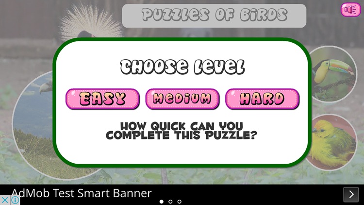 Puzzles of Birds Free