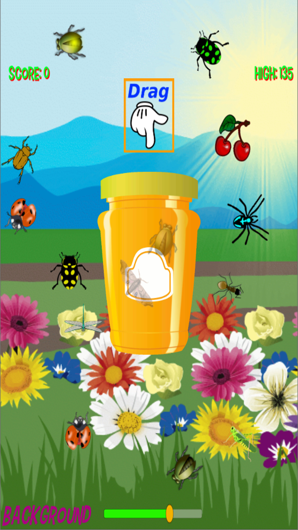 Bug Catcher Game
