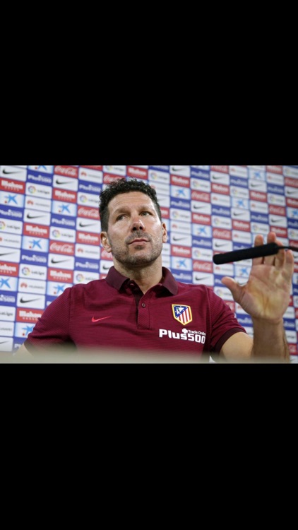 ANSA Mobile screenshot-4