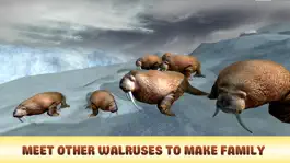 Game screenshot Arctic Walrus Survival Simulator 3D apk
