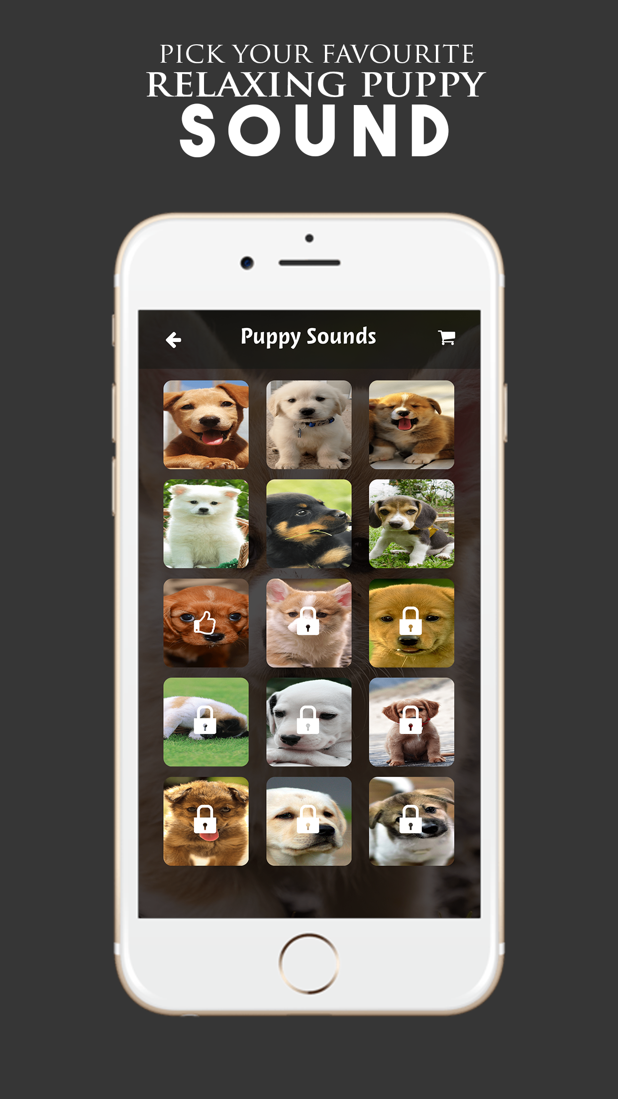Puppy Sounds:Calming Music For Relaxation & Sleep screenshot 2