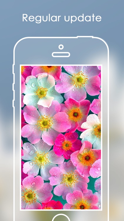 Best Flower Wallpapers | Lovely Rose Backgrounds screenshot-3