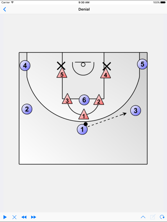 Basketball Playview iPad screenshot 3 - Sports app