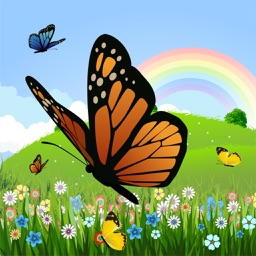 Coloriages:  papillon