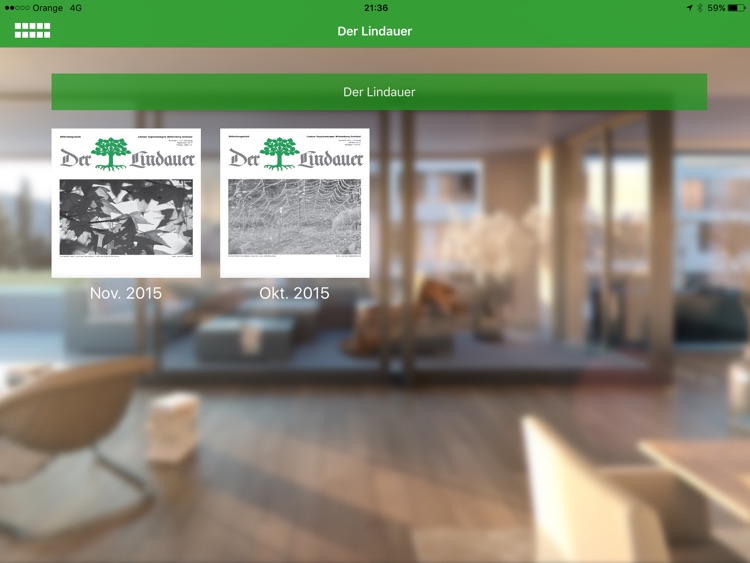 lindaufiber screenshot-3