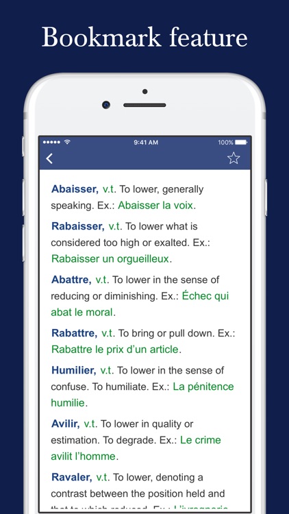 Mastering French Synonyms screenshot-3