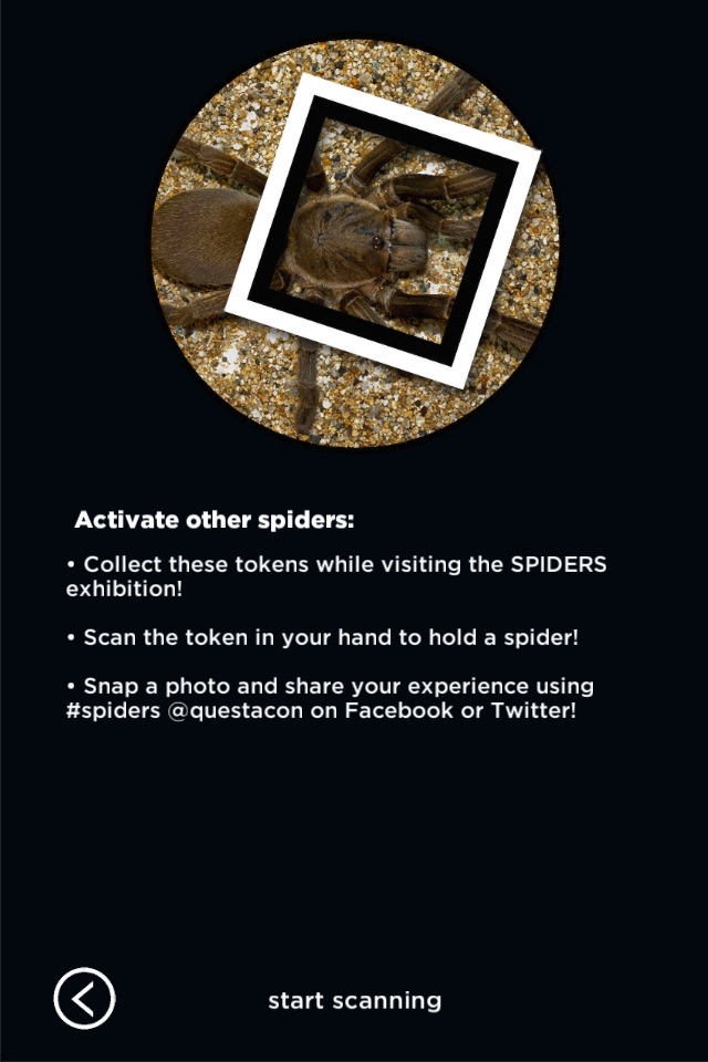 SPIDERS AR screenshot 2