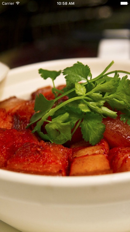 中华特色美食网