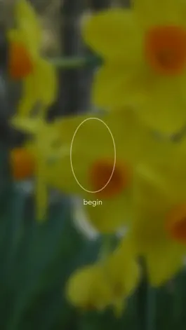 Game screenshot Mind Timer - A Simple Timer for Insight Meditation apk