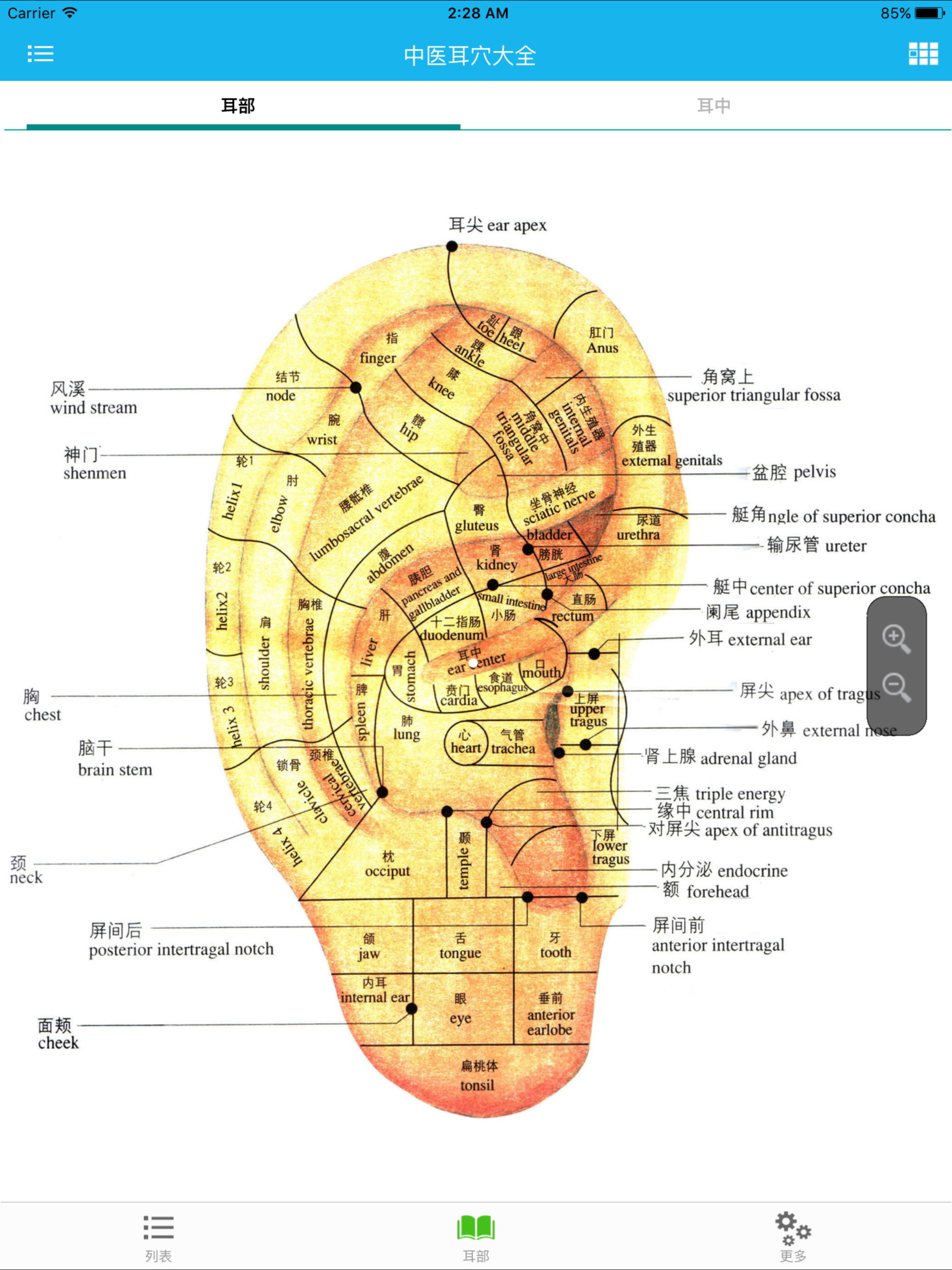 中医耳穴大全