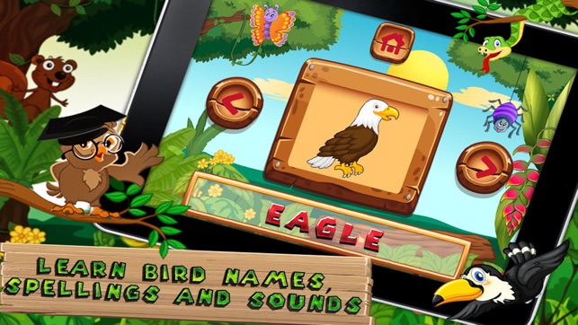 Which Bird - Kids e-Learning