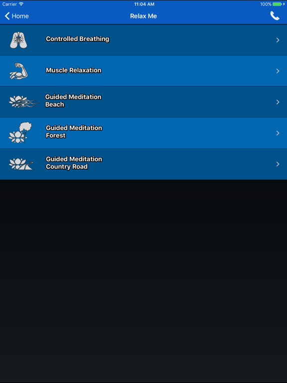 Screenshot #6 pour Virtual Hope Box