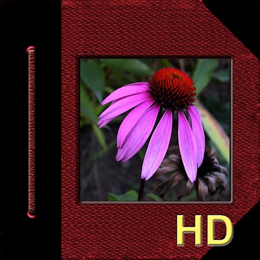 iAlbum HD