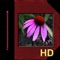 iAlbum HD is a professional grade virtual photo album for the iPad