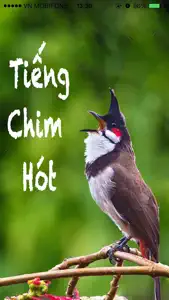 Tiếng chim hót - Sound Bird screenshot #1 for iPhone