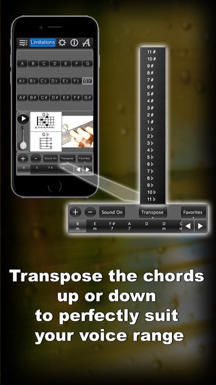 Banjo Chords Lite