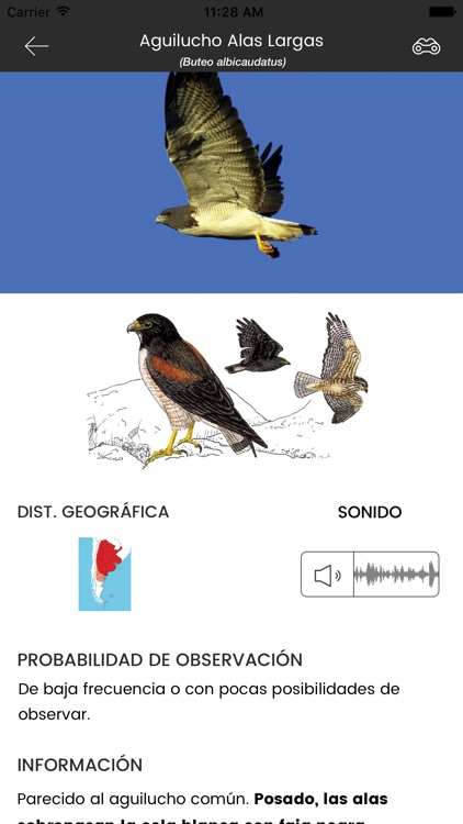 Birds of Argentina and Uruguay