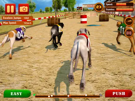 Dog Race & Stunts 2016