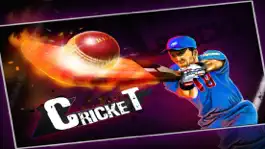 Game screenshot Cricket 3D : Street Challenge apk