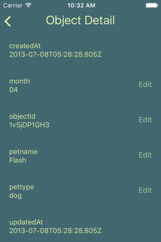 Parser - browse and manage Parse Server data on the go screenshot 4