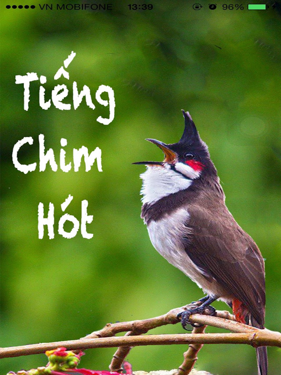 Screenshot #4 pour Tiếng chim hót - Sound Bird