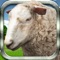 Farm Sheep Simulator - Control Your Angry Sheep Into The Mountain Fields