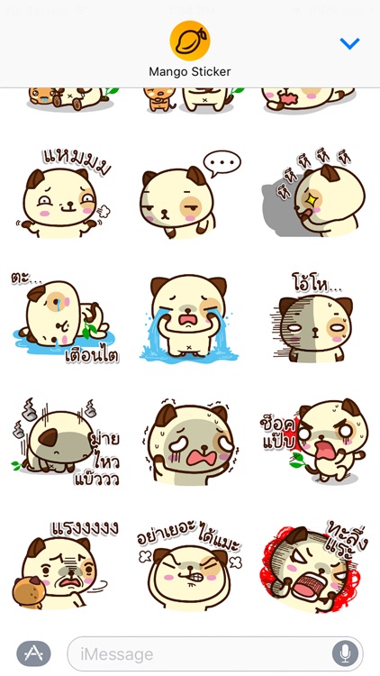 แพนด้าด๊อก (ภาษาไทย) - Mango Sticker screenshot-3