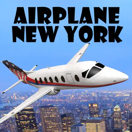 Airplane New York Cheats
