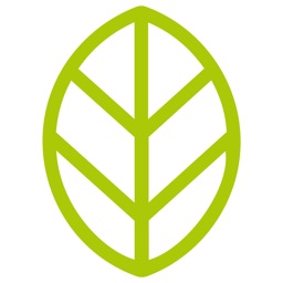 HealthLife