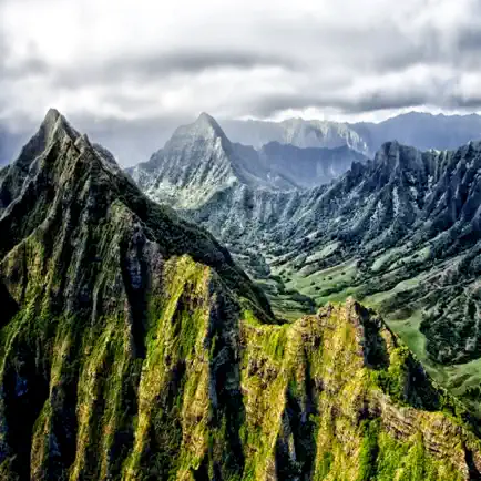 Nature Wallpaper Cheats