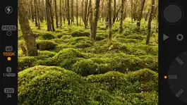 Game screenshot Manual Cam hack