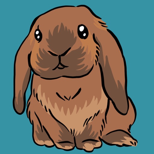 KikuKiku
