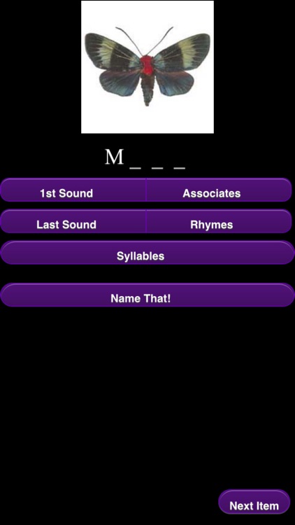 Name That! Phonological Edition